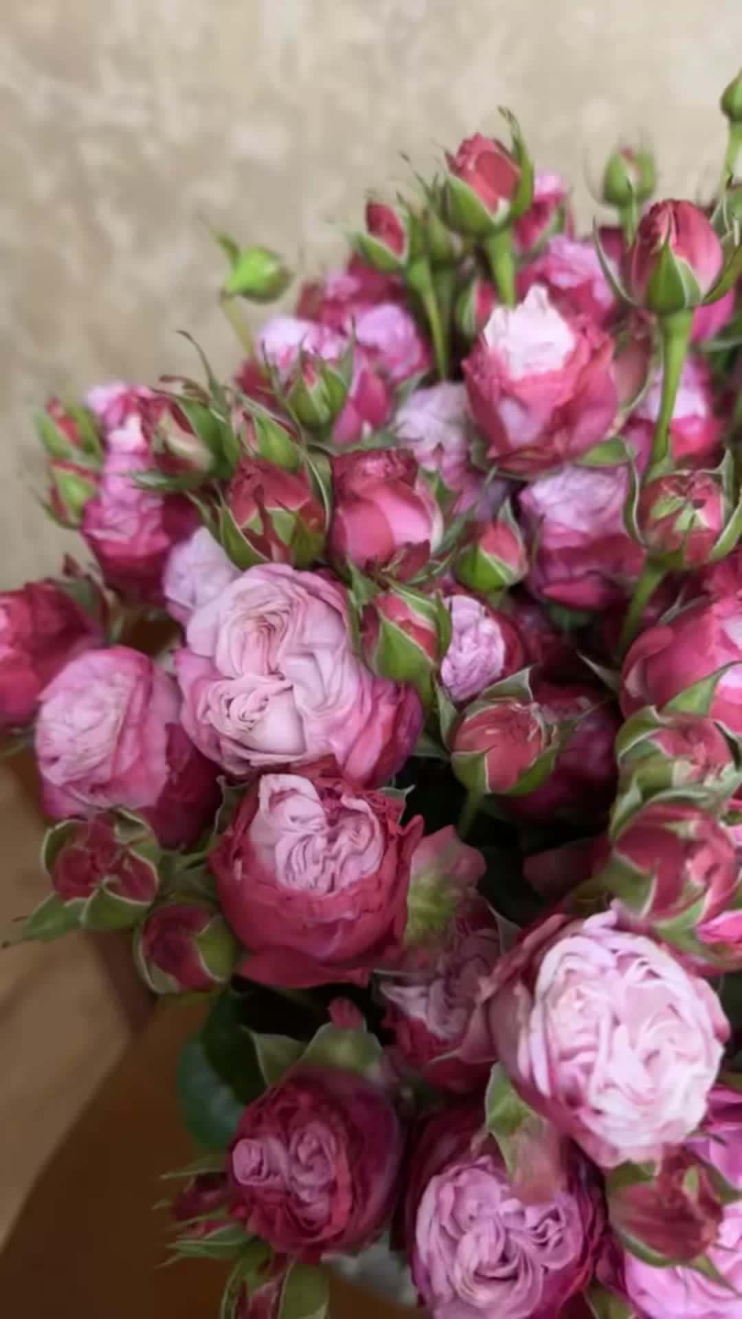 Sunrise Splendor in Bloom Array